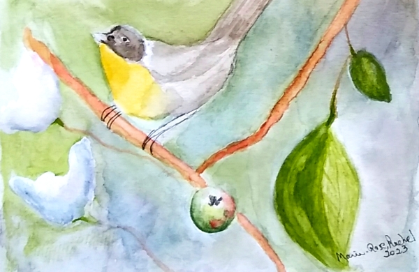 Aquarelle sur papier carte