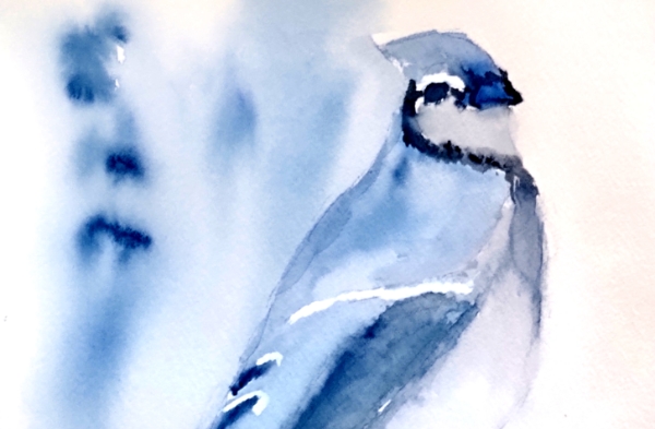 JAquarelle sur papier carte