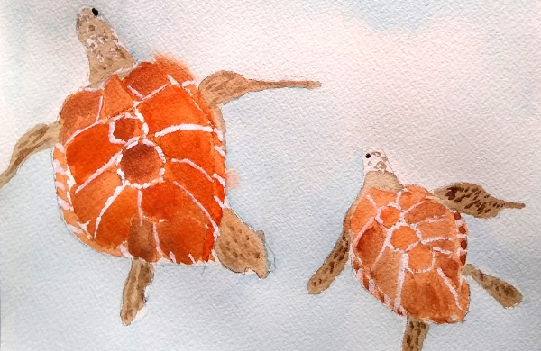 Aquarelle sur papier carte