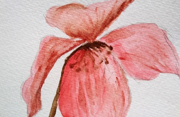 Aquarelle sur papier carte