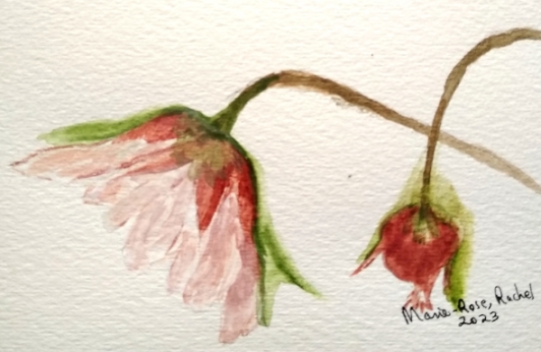 Aquarelle sur papier carte