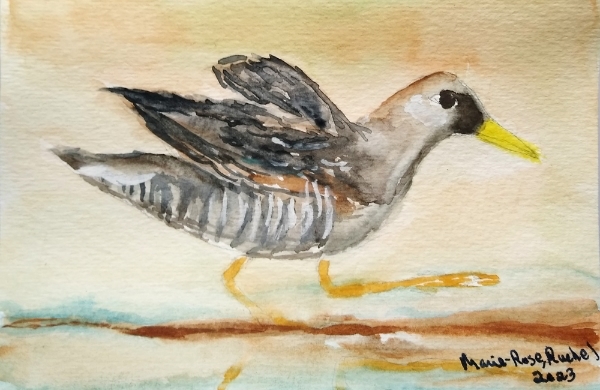 Aquarelle sur papier carte