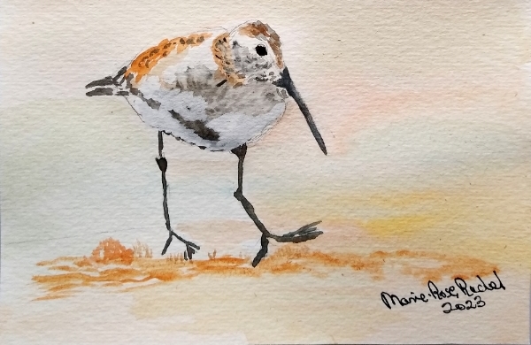 Aquarelle sur papier carte