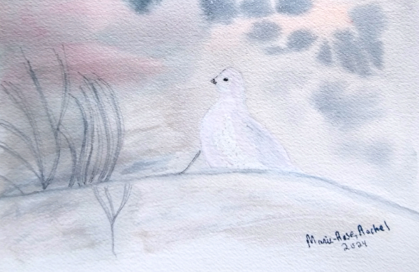 Aquarelle sur papier carte
